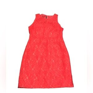 J. Crew Lace dress.womens long =36inch , pit to pit =18 inch,waist =16 inch.NWT